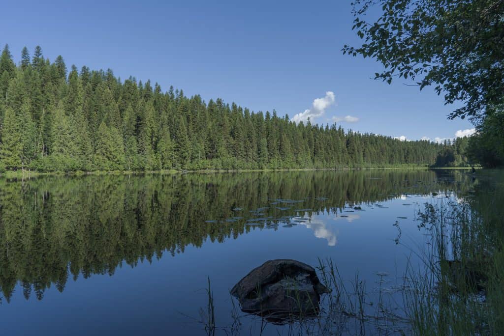 Tranquil lake reflecting dense forest in teen residential treatment retreat setting at Turning Winds